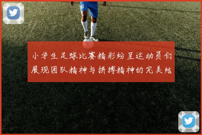 小学生足球比赛精彩纷呈运动员们展现团队精神与拼搏精神的完美结合