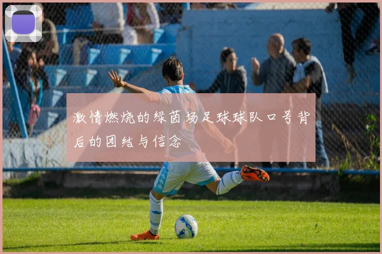 激情燃烧的绿茵场足球球队口号背后的团结与信念